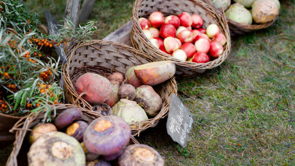 Fruktträdsbeskärning