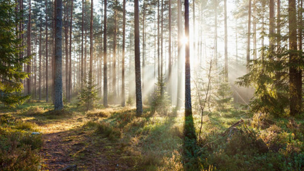 Psykisk livräddning - att tala om självmord