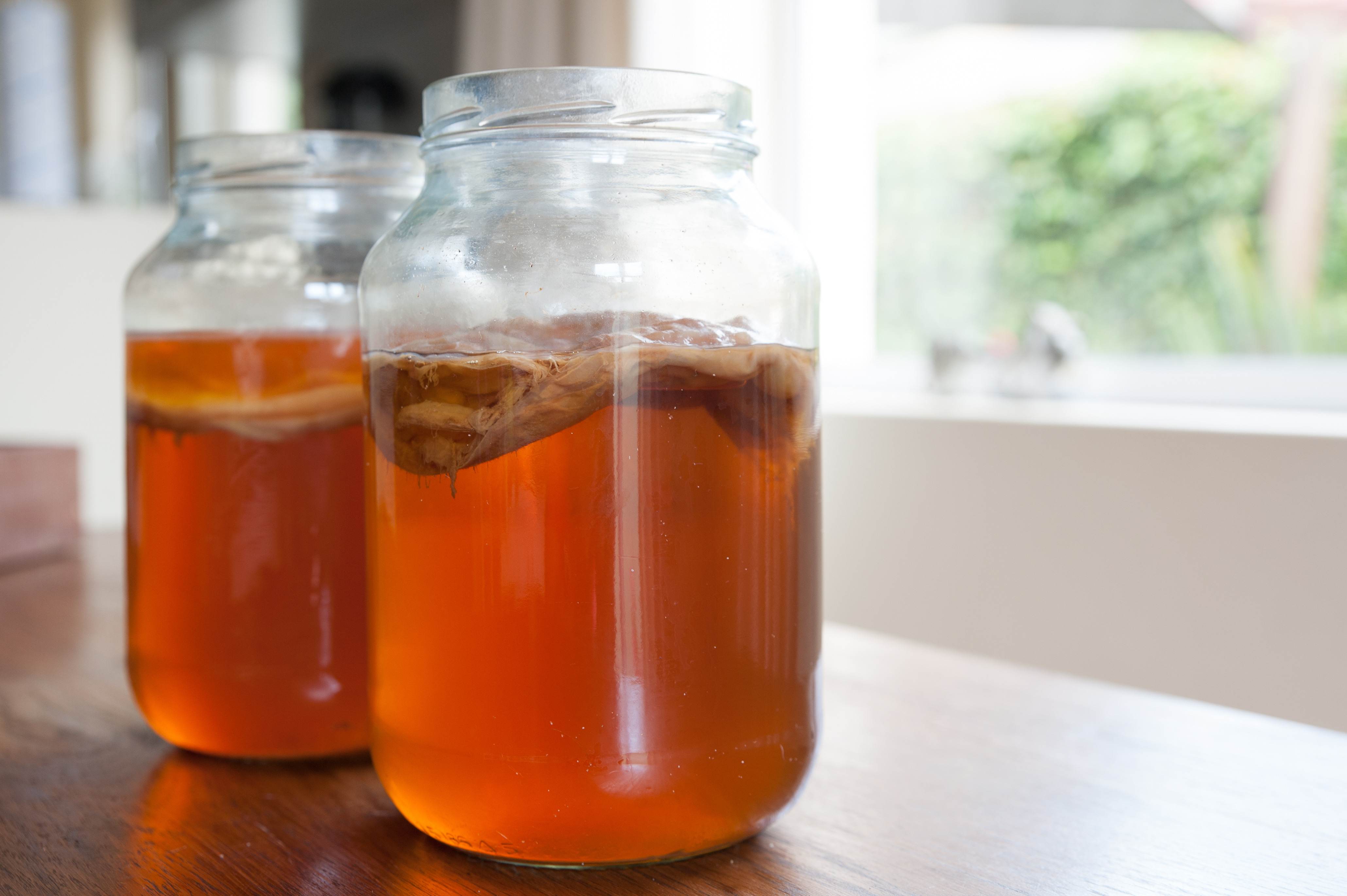 Fermentering - kombucha, kefir & ginger bug NYHET