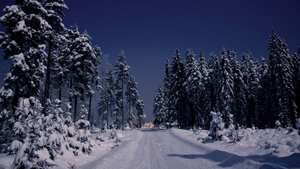 Kulturarv - skogen