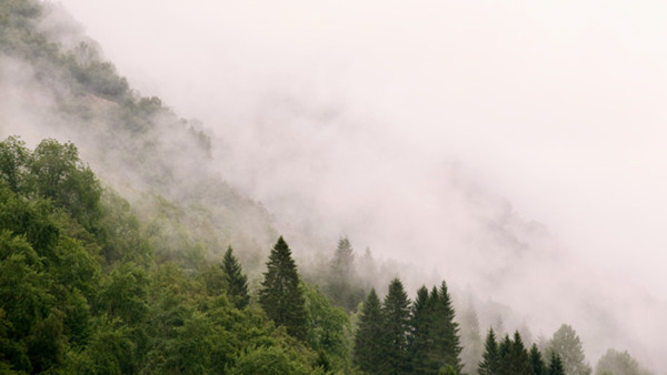 How to Cultivate and Maintain a Peaceful Mind
