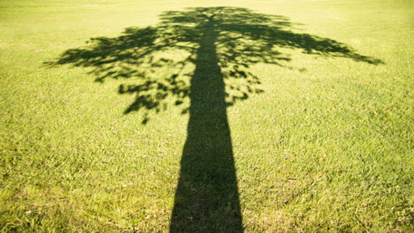Zen meditation - Introduktion & meditationsdag