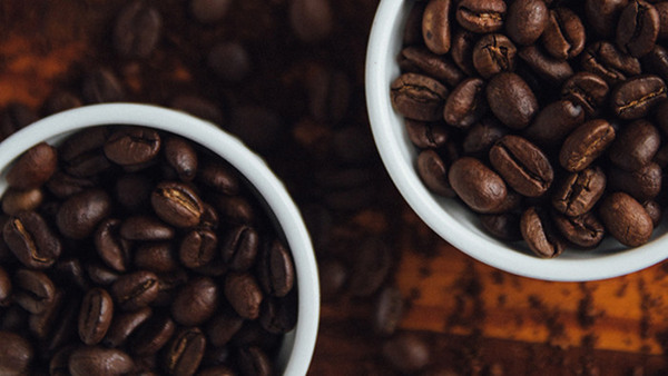 Barista - allt om kaffe