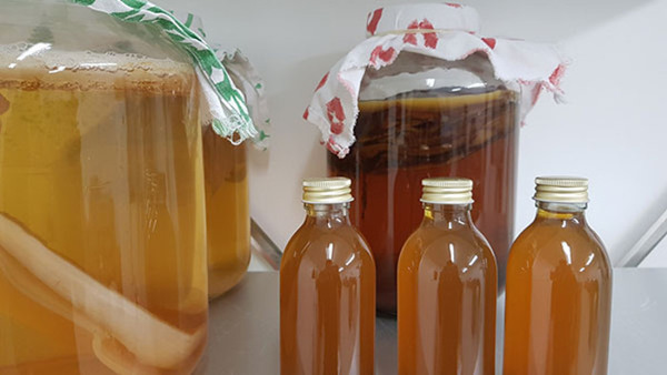 Fermentering - Kombucha, jun och vattenkefir