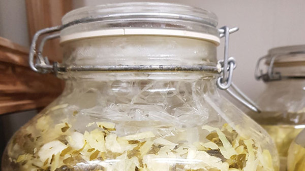 Fermentering - Kimchi & Syrade Grönsaker