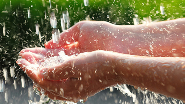 Hydroponisk odling – odla i vatten