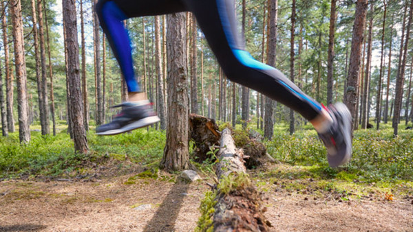 Livsstil och hälsa – helhet och samspel
