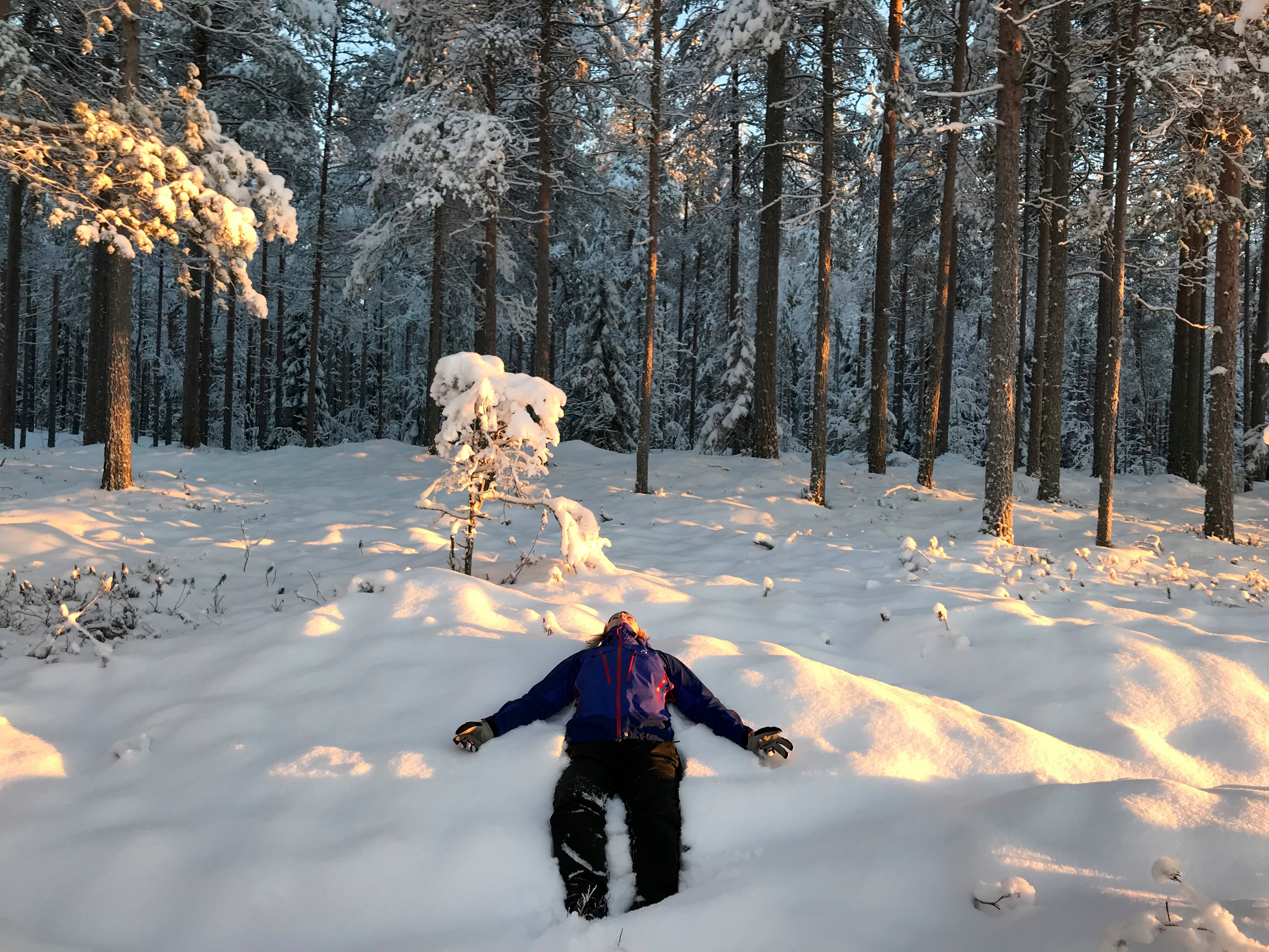 Vinterworkshop i skogens hälsoeffekter