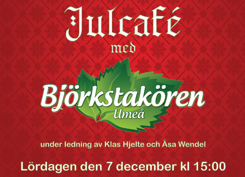 Julkonsert på Frälsningsarmén med Björkstakören