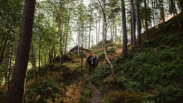 Mitt Nordvärmland