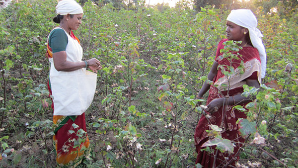 Bli ambassadör för Fairtrade