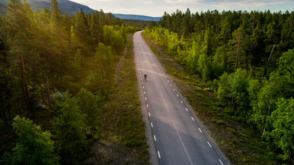 Föredrag:Vad läsarna läste