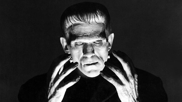 Frankenstein + Hur skapas en människa?